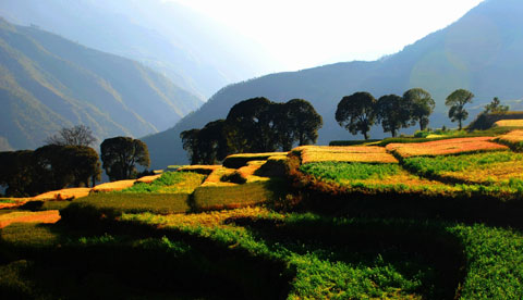 走進(jìn)無(wú)量山