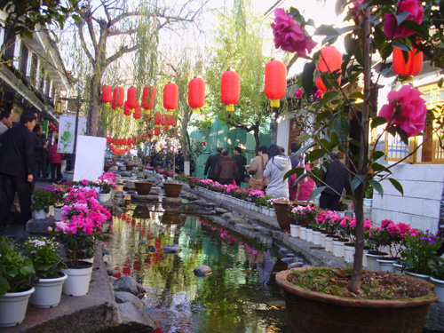 70多名留學(xué)生歡聚大理花博會(huì)