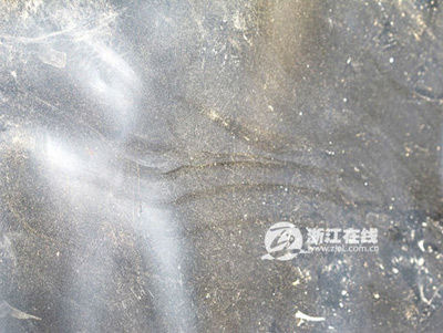 浙江天臺5名遇難兒童死因今公布 家屬擬追究責(zé)任