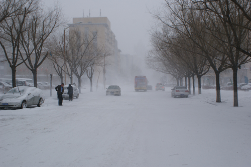 哈爾濱突遇40年罕見大雪
