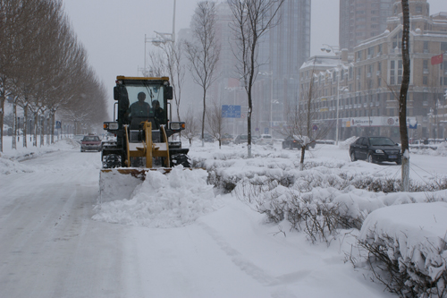 哈爾濱突遇40年罕見大雪