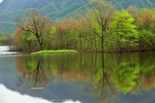 神農(nóng)架高山濕地大九湖掠影