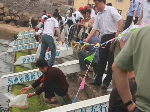 山東省實施大規(guī)模海洋增資放流修復漁業(yè)資源