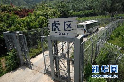 西安動物園老虎咬死游客事件猛獸區(qū)管理員被批捕(圖)