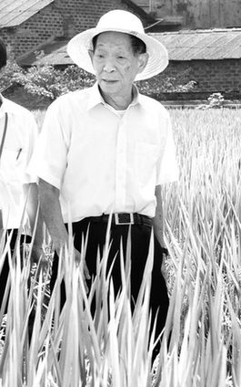 袁隆平:90歲時(shí)實(shí)現(xiàn)畝產(chǎn)1000公斤