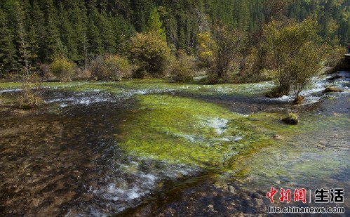 盤(pán)點(diǎn)國(guó)內(nèi)十大“秋色”