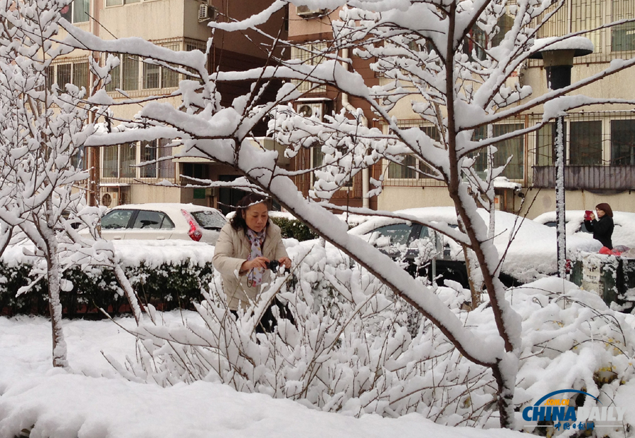 中國日報直擊北京三月春雪