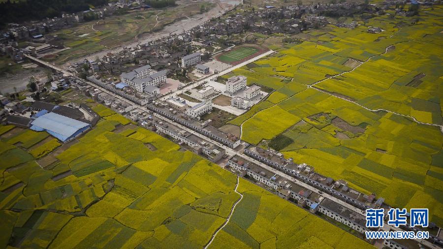 四川雅安蘆山縣地震 初步估計傷亡上百人