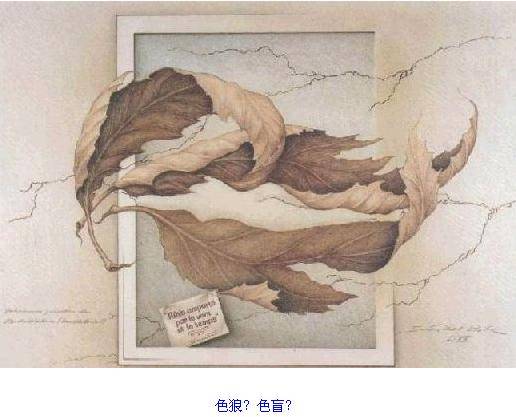 瘋狂的圖片！ 測(cè)測(cè)你的心理和眼力