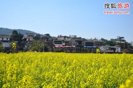 滇西春色擋不住　孔雀之鄉(xiāng)德宏體驗(yàn)邊境文化
