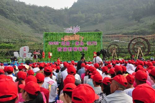 中方首屆刺葡萄節(jié)開幕 游客比賽吃葡萄(圖)