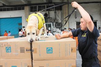 狗糧混入走私茶葉 緝毒犬肚餓“意外識破”