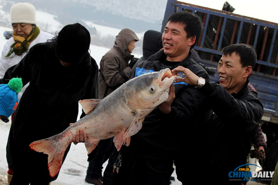 吉林長春石頭口門水庫開網(wǎng)捕魚
