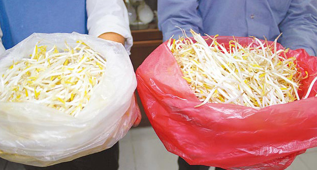 臺(tái)灣再爆食安問題 工廠用漂白劑生產(chǎn)豆芽日產(chǎn)近5噸