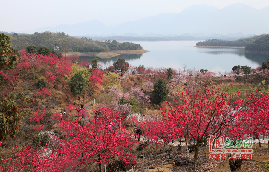 “第六屆全國網(wǎng)絡(luò)媒體江西游”采訪團(tuán)暢游桃花島