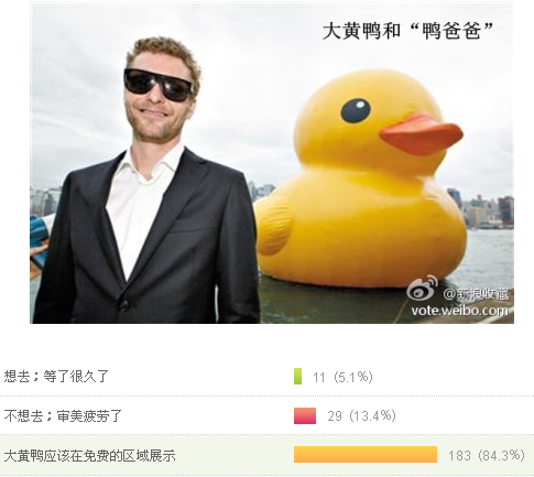 8成網(wǎng)友認為大黃鴨應(yīng)該免費展示