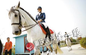 重慶馬術(shù)隊將落戶巴濱路馬術(shù)中心 可免費看千萬元純種馬表演