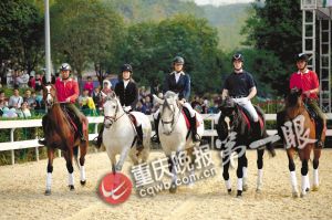 重慶馬術(shù)隊將落戶巴濱路馬術(shù)中心 可免費看千萬元純種馬表演