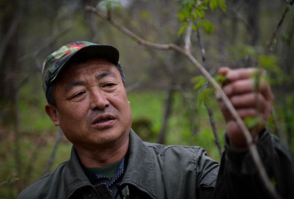 長白山兩代巡護(hù)員的綠色夢想