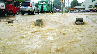 居民家中游來(lái)5斤重大魚 南京江北這場(chǎng)大雨太意外了