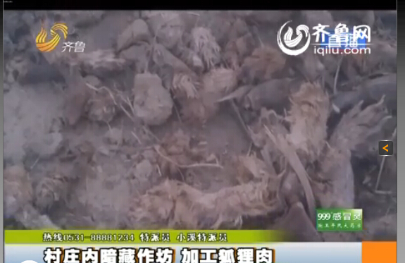 臨沂：村莊內(nèi)暗藏小作坊 日加工死狐貍?cè)馍习賴?/></p>

<p><strong>臨沂</strong>齊魯網(wǎng)<strong>11月13日訊</strong>同樣的一袋肉，在這家超市是羊肉，到了另一家超市變成了驢肉，再換一家超市又成了狗肉，然而這是一袋最不應(yīng)該出現(xiàn)在消費(fèi)者餐桌上的肉，為了消費(fèi)者的食品安全，記者冒著風(fēng)險(xiǎn)連續(xù)三天的暗訪，究竟是什么肉呢？</p>

<p>據(jù)山東廣播電視臺(tái)齊魯頻道《小溪辦事》欄目報(bào)道，這是臨沂河?xùn)|區(qū)鳳凰嶺街道的潘家湖村，一進(jìn)村記者就聞到了引人做嘔的腥臭味，爆料人稱這是村里人加工肉的味道，而且全村每家每戶都參與加工肉的工作，這也成為全村人的主要經(jīng)濟(jì)來源?！斑@是暴利，一天掙大（近）萬多塊錢，這不暴利嗎？這味太大了，我在里面聞不了?！?/p>

<p>記者在看到村里的街道上到處都是動(dòng)的肝臟和爪子，街道上每隔十幾米就有一個(gè)加工肉的作坊，報(bào)料人稱加工肉的作坊沒有任何手續(xù)，而他們加工的究竟是什么肉呢？</p>

<p>爆料人拿著起一袋肉稱：“這就是他們當(dāng)狗肉賣的狐貍凍！肉凍是用水和膠勾兌的，再把肉摻在一起?！边@包裝的“農(nóng)家風(fēng)味”，竟然是狐貍?cè)?。記者查看外包裝，沒任何的生產(chǎn)廠家、生產(chǎn)日期和保質(zhì)期，更沒有任何國(guó)家食用標(biāo)準(zhǔn)的三無產(chǎn)品，而爆料人稱這些三無產(chǎn)品非常暢銷，“山東德州、內(nèi)蒙古、南方一帶江蘇銷量比較大”。</p>

<p>記者從爆料人那里了解到，這狐貍?cè)猱a(chǎn)品可不止狐貍凍這一種，而是五花八門什么肉都有，利潤(rùn)非?？捎^?！坝褪裁吹?、肝什么的都賣了，沒有扔的，還有狐貍骨頭架子，這些東西都賣了，沒有剩下的東西，當(dāng)成狗肉、牛肉、羊肉這些肉賣了，以次充好！”爆料人還稱：“他們的利潤(rùn)空間非常大，一個(gè)冬天大約能賺好十幾萬。”</p>
</p>
</div>
</div>

<div   class=