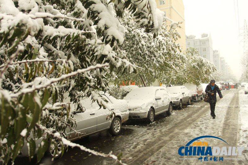 冷空氣來(lái)襲 吉林長(zhǎng)春迎下半年首場(chǎng)降雪