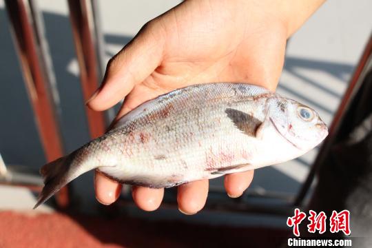 廣西柳州水族館百條熱帶魚被游客閃光燈“閃死”