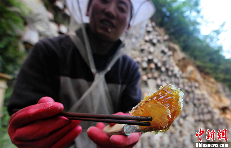 神奇！探秘奇特的神農(nóng)架