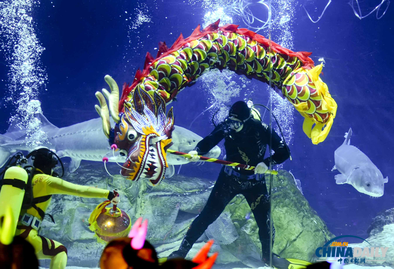 國內首次水下人偶style亮相北京海洋館