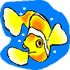 Can a fish drown? 