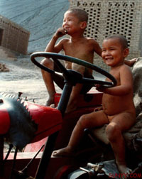 開車時想點啥？性？還是紅綠燈？