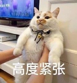 美國人有多愛夸人？居然飆車過來夸我鞋子美？？？