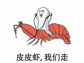2017年最火的網(wǎng)絡(luò)流行語(yǔ)是這些！