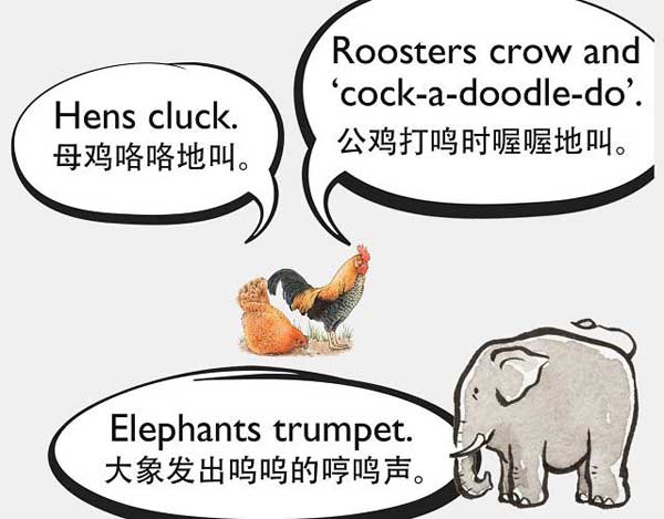 自然界中有各種聲音 如何用英語來描述動(dòng)物的叫聲？