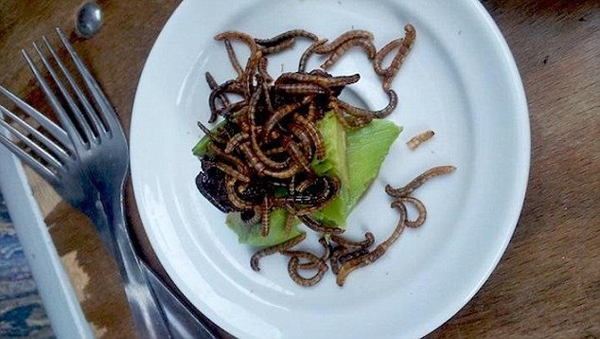 受不了臭豆腐、血腸 老外卻有更奇葩的美食