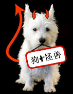 趣味翻譯：沒有自行車的魚？